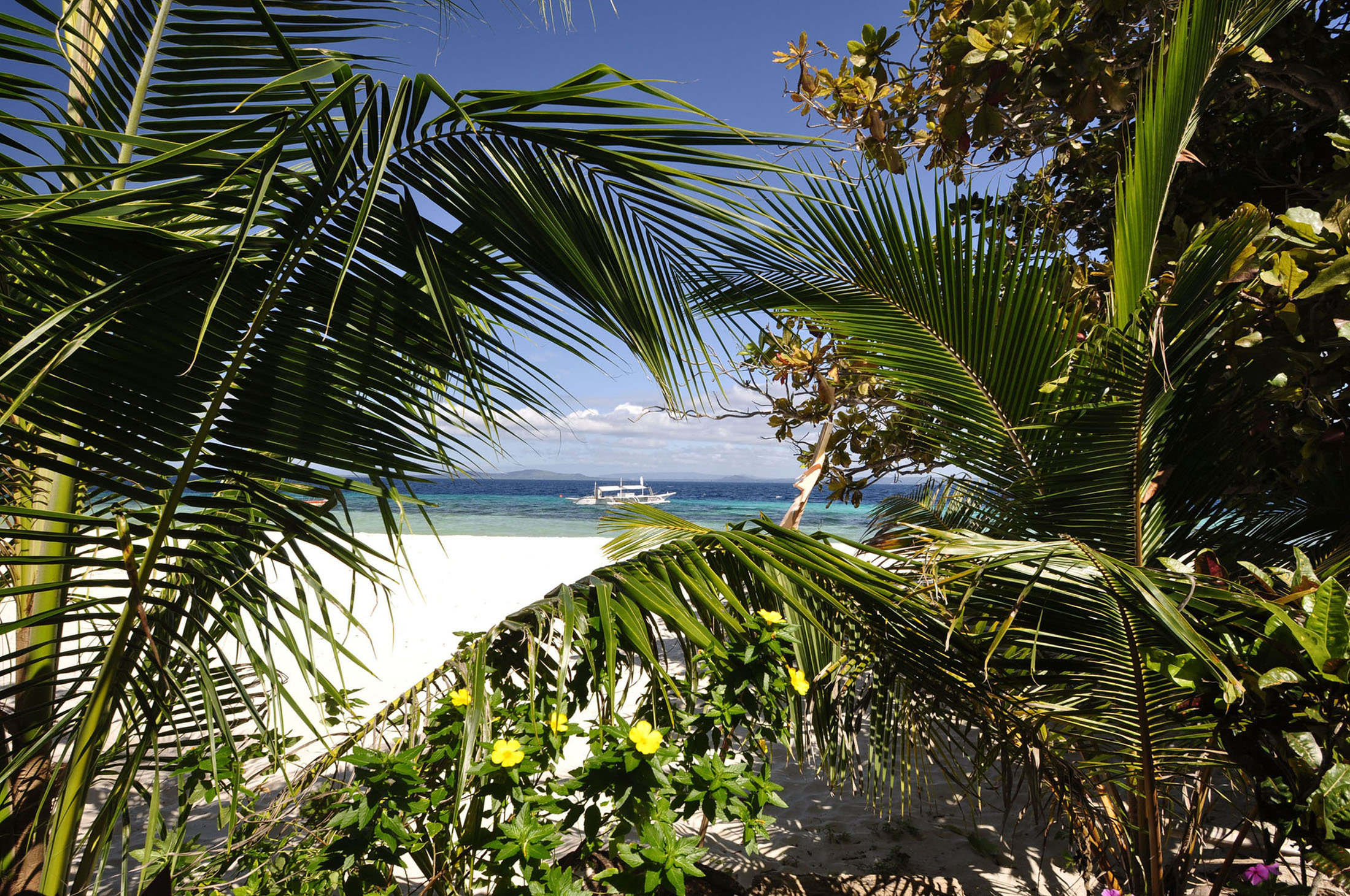 Palmenstrand mit Boot im Pazifik