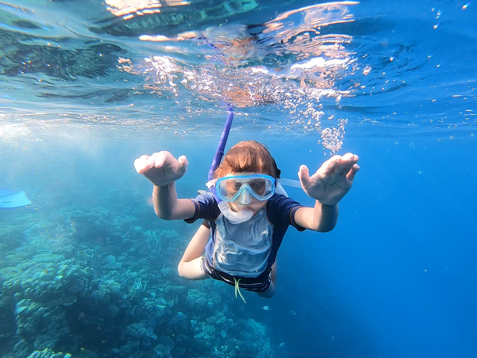 Schnorchler im Roten Meer unter Wasser